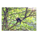 Mother Monkey and Baby in Jungle Art Photo