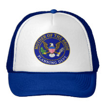 Mother Of The Bride Mesh Hat