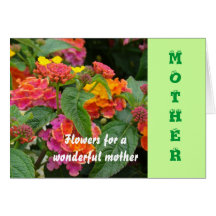 Mother, Orange brightness Greeting Cards