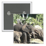 Mother with Baby Elephant Pinback Buttons