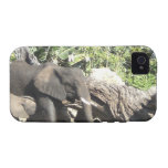 Mother with Baby Elephant Vibe iPhone 4 Cases