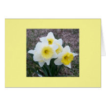 Mother's Day Daffodils Cards