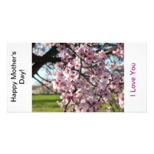 Mother's Day Picture Card