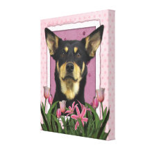 Mothers Day - Pink Tulips - Australian Kelpie Jude Stretched Canvas Print