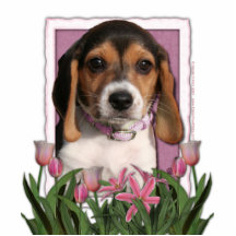 Mothers Day - Pink Tulips - Beagle Puppy Photo Cutouts