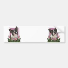 Mothers Day - Pink Tulips - Boston Terrier Bumper Stickers