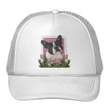 Mothers Day - Pink Tulips - Boston Terrier Hats