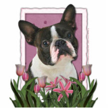 Mothers Day - Pink Tulips - Boston Terrier Cut Outs