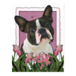 Mothers Day - Pink Tulips - Boston Terrier Post Cards