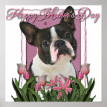 Mothers Day - Pink Tulips - Boston Terrier Poster