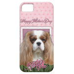 Mothers Day - Pink Tulips - Cavalier - Blenheim
