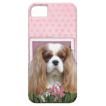 Mothers Day - Pink Tulips - Cavalier - Blenheim