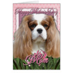 Mothers Day - Pink Tulips - Cavalier - Blenheim Greeting Cards