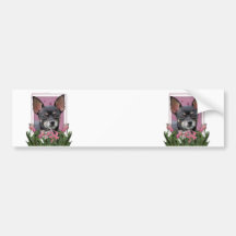 Mothers Day - Pink Tulips - Chihuahua - Isabella Bumper Sticker