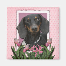 Mothers Day - Pink Tulips - Dachshund - Winston Magnets