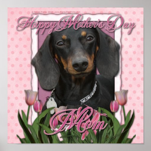 Mothers Day - Pink Tulips - Dachshund - Winston Posters