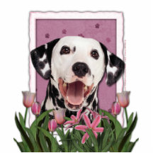 Mothers Day - Pink Tulips - Dalmatian Cut Outs