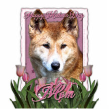 Mothers Day - Pink Tulips - Dingo Acrylic Cut Outs