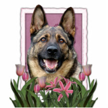Mothers Day - Pink Tulips - German Shepherd Acrylic Cut Outs
