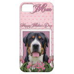 Mothers Day Pink Tulips Greater Swiss Mountain Dog