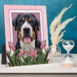 Mothers Day Pink Tulips Greater Swiss Mountain Dog Photo Plaque