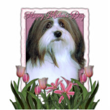 Mothers Day - Pink Tulips - Havanese Cut Outs