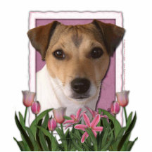 Mothers Day - Pink Tulips - Jack Russell Acrylic Cut Out