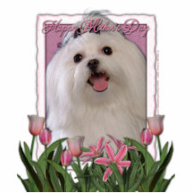 Mothers Day - Pink Tulips - Maltese Photo Sculptures