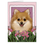Mothers Day - Pink Tulips - Pomeranian Greeting Card