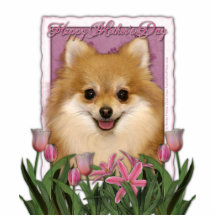 Mothers Day - Pink Tulips - Pomeranian Photo Cut Out