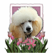 Mothers Day - Pink Tulips - Poodle - Apricot Acrylic Cut Out