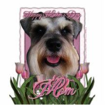 Mothers Day - Pink Tulips - Schnauzer Photo Sculptures
