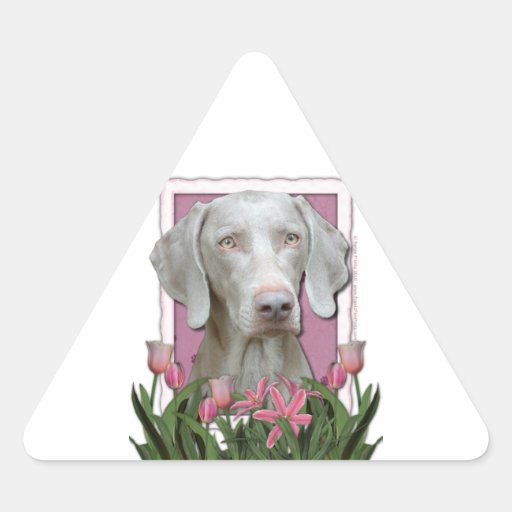 Mothers Day - Pink Tulips - Weimaraner - Gold Eyes Sticker