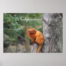 Motivational Independence Print