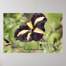 Motivational Independence Print