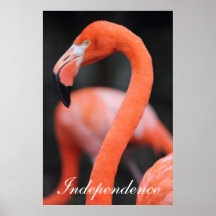 Motivational Independence Poster