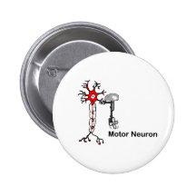 Motor Neuron Pinback Buttons
