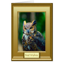 Mottled owl greeting cards