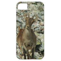 Mounain Goats In Castille iPhone 5 Cover