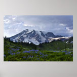 Mount Rainier Print