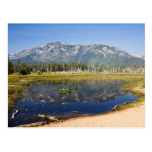 Mount Tallac Reflection Post Cards