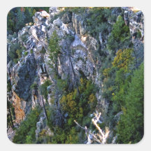 Mountain forest sticker