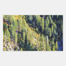 Mountain forest sticker
