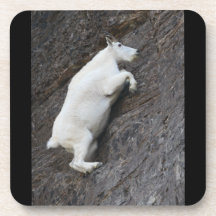Mountain Goat Coasters
