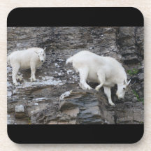 mountain goat coasters