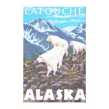 Mountain Goats Scene - Latouche, Alaska Gallery Wrap Canvas