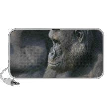 Mountain Gorilla Speakers