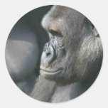 Mountain Gorilla Stickers