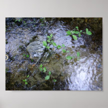 mountain stream print