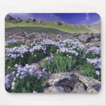 Mountains and wildflowers in alpine meadow, mousepads